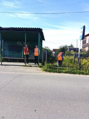 Трудовая бригада в июле: на страже чистоты и порядка!