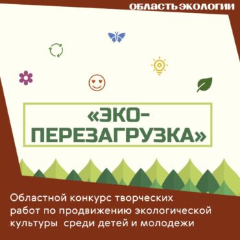 Областной конкурс творческих работ по продвижению экологической культуры среди детей и молодежи «Эко-перезагрузка»