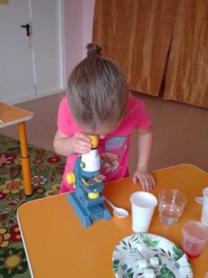 В МАДОУ “Александровский детский сад» начала работу студия дополнительного образования “Юный эколог”