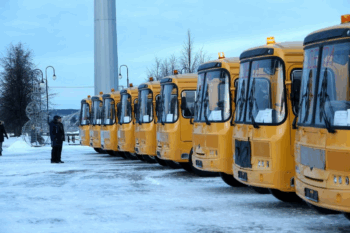 Школьные автобусы