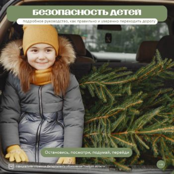 Умение правильно переходить дорогу